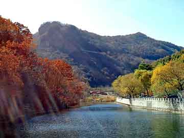 新澳天天开奖资料大全旅游团，起亚k3全景天窗